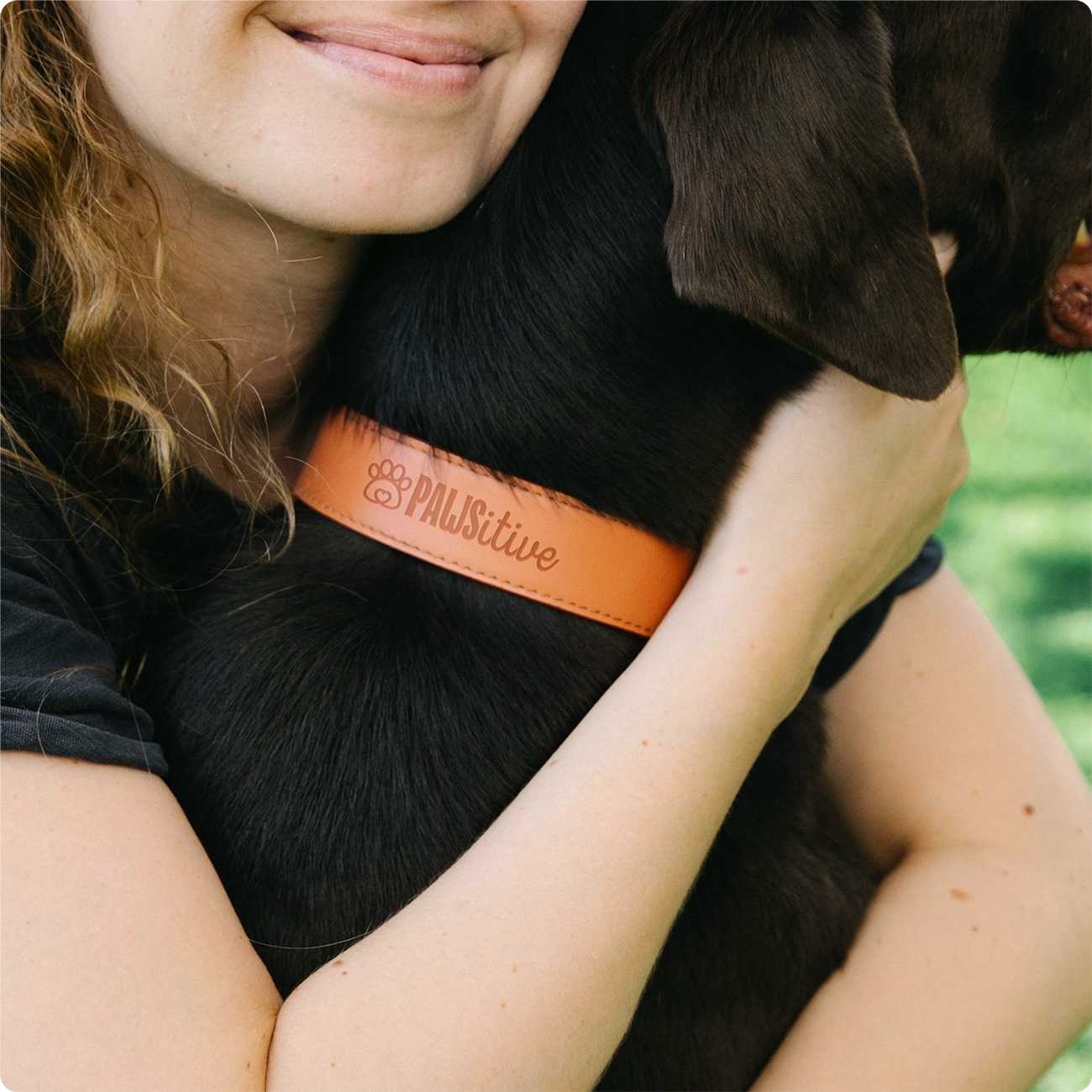 Collar_sm Collar_sm