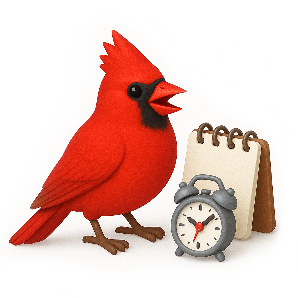 birdy birdy